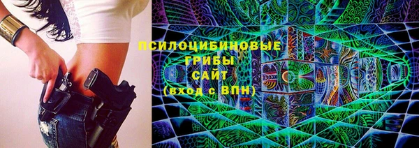 гашик Каменногорск