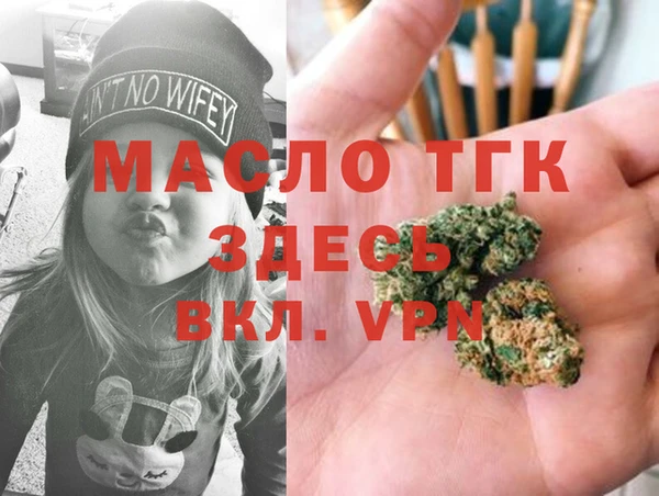 гашик Каменногорск