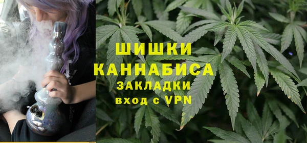 гашик Каменногорск