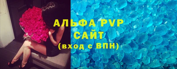 гашик Каменногорск