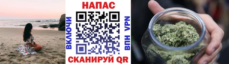 Бошки Шишки конопля  Купить  Горно-Алтайск 
